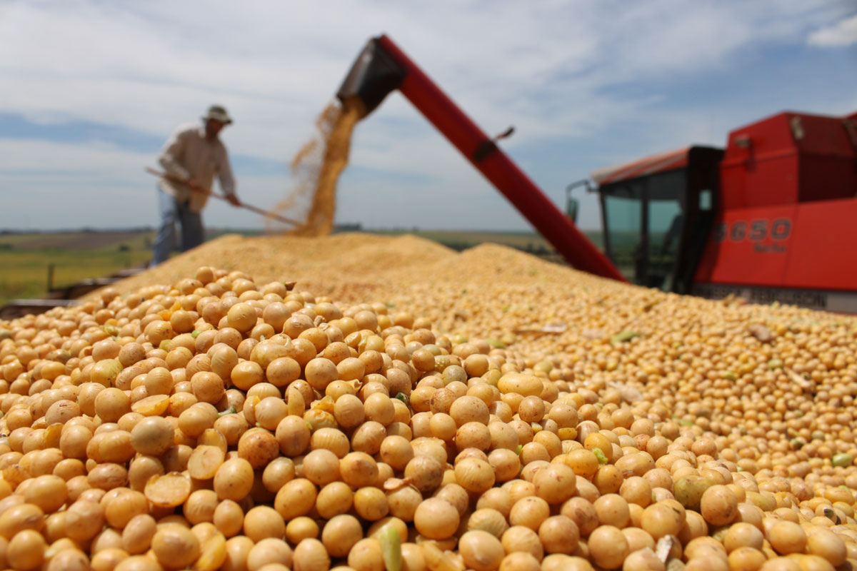 Terceiro maior exportador de produtos agrícolas do mundo Brasil segue