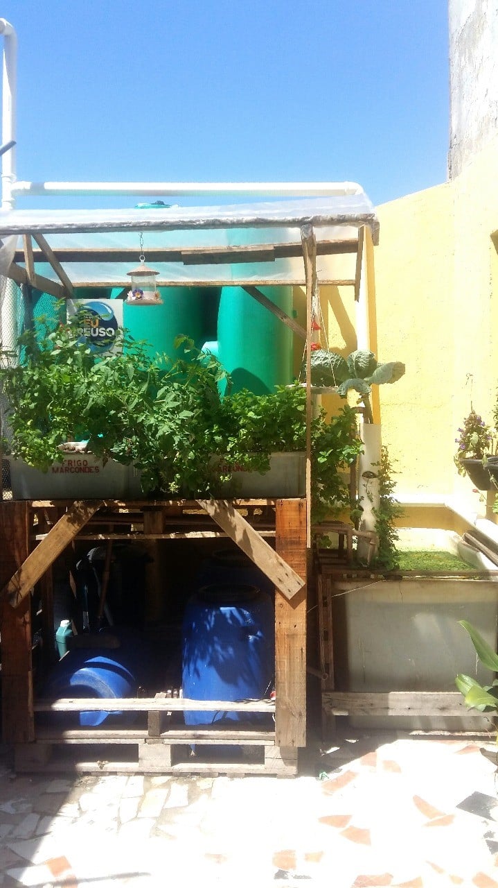 Sistema de aquaponia