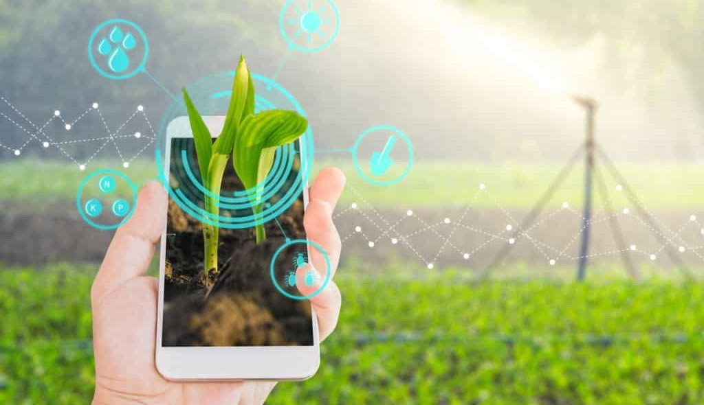 Agrônomo segurando celular com campo irrigado ao fundo