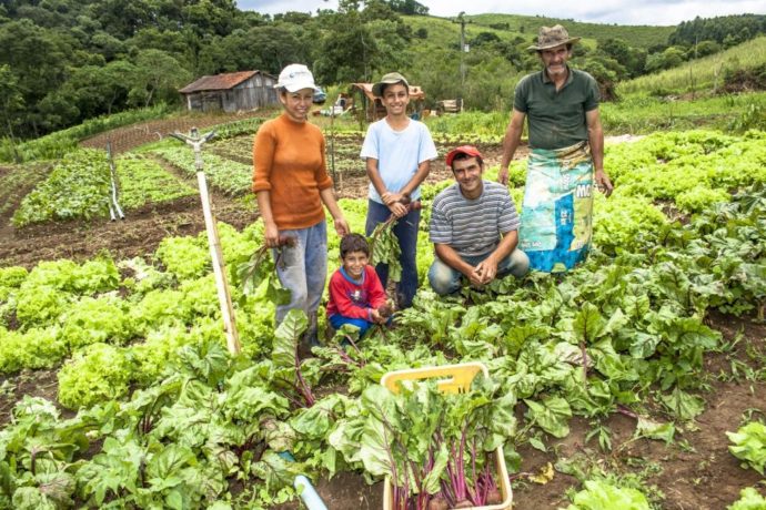 Agricultura Familiar Mf Magazine A Revista Digital Do Agro 5980