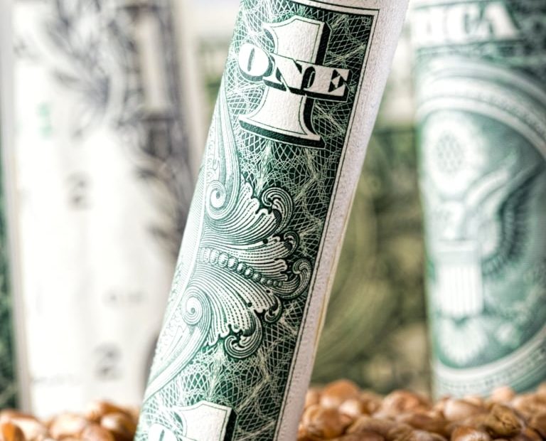 Dolar enrolado enfiado no trigo