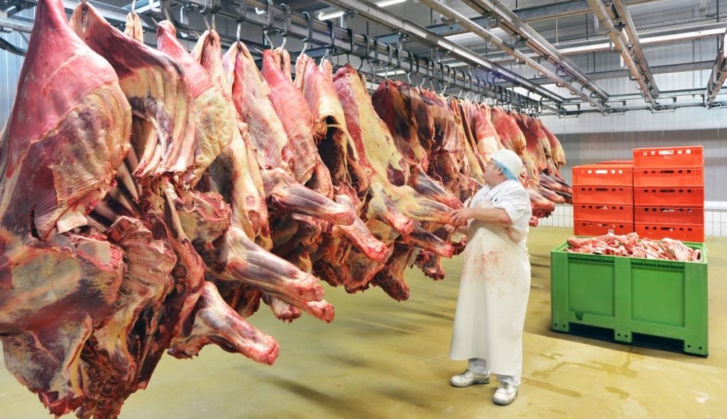 Funcionário movimenta carcaças bovinas em frigorífico