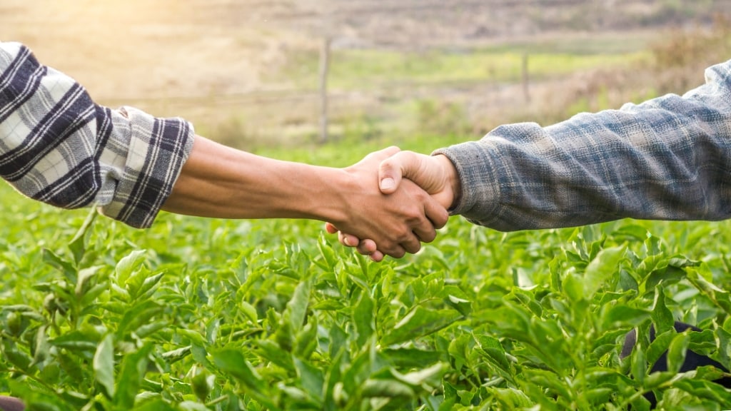 Agricultores dando as mãos celebrando contrato de arrendamento de fazenda
