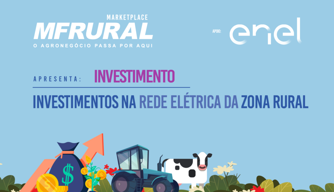 Investimentos na rede elétrica da zona rural