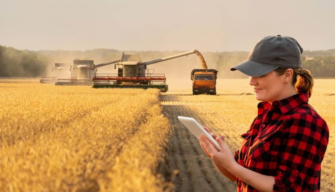 Veja 7 benefícios da mecanização agrícola