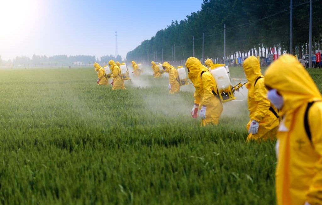 Pessoas enfileiradas aplicando agrotóxico na lavoura