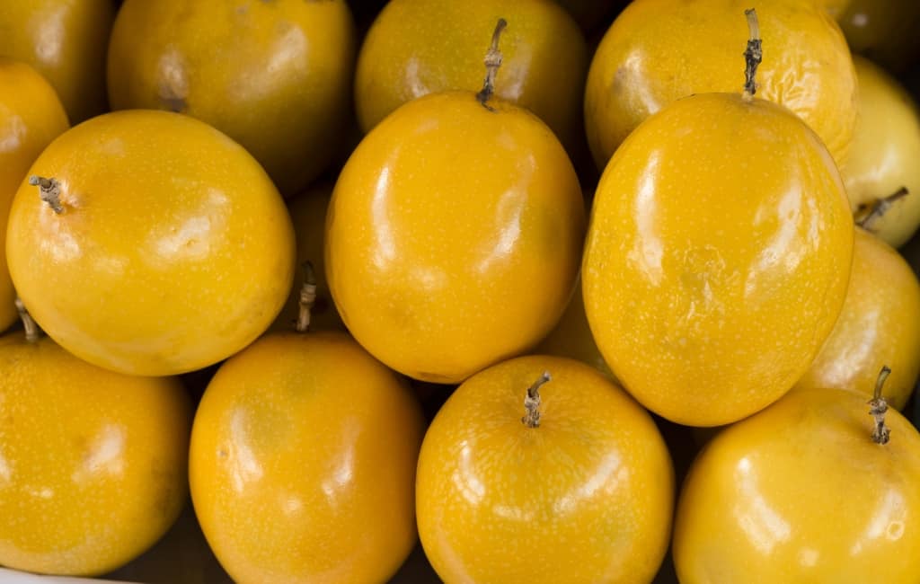 Maracujá amarelo fruta