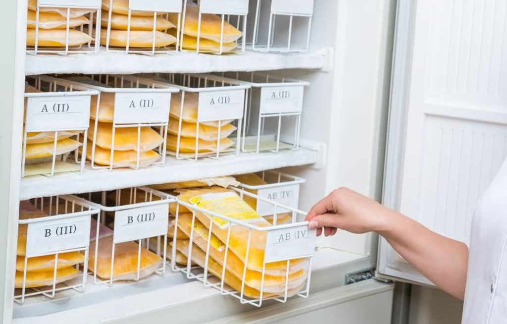 Várias bandejas com plasma em refrigerador