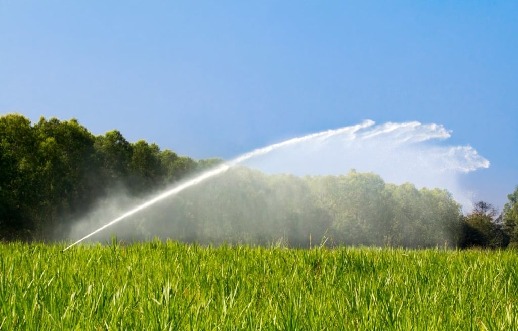 Sistema de irrigação de pasto