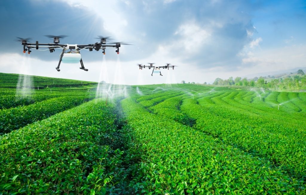 Vários drones pulverizando a lavoura