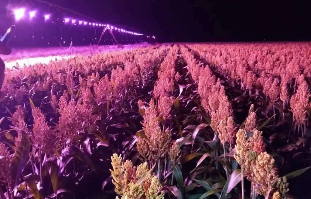 Lavoura com pivôs de irrigação com luz de LED