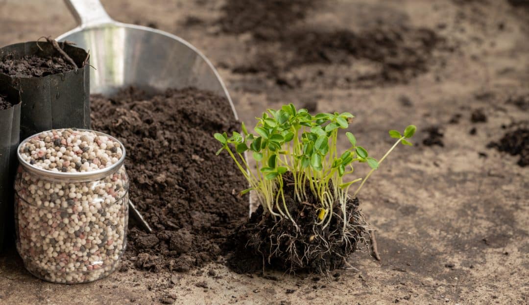 Adubo NPK junto com algumas plantas, terra e pá.