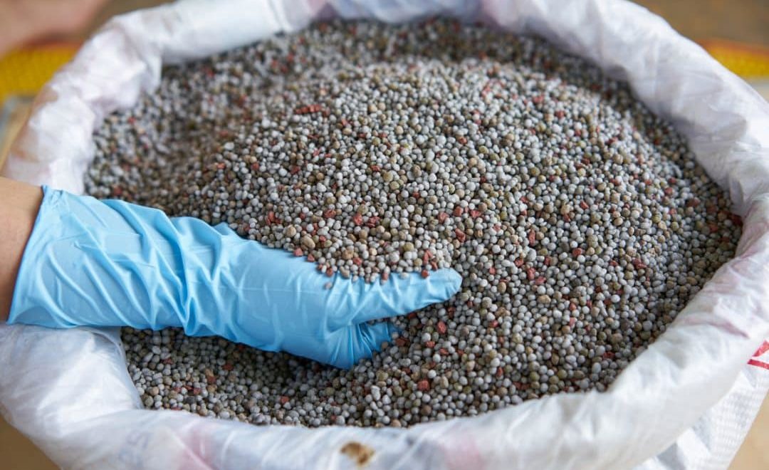 Fertilizante químico