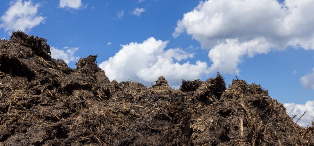 Monte de esterco a céu aberto