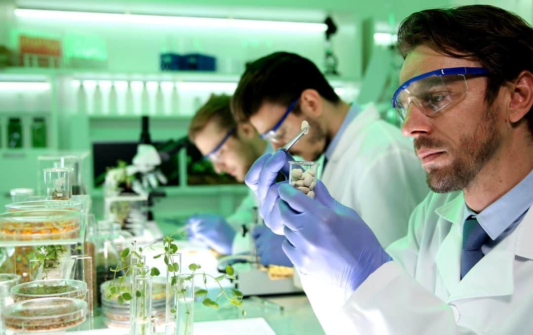 Análise de semente na agricultura moderna