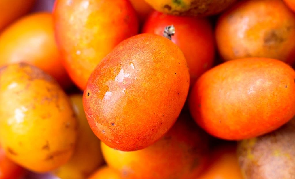 Frutas exóticas do Brasil: conheça essas raridades
