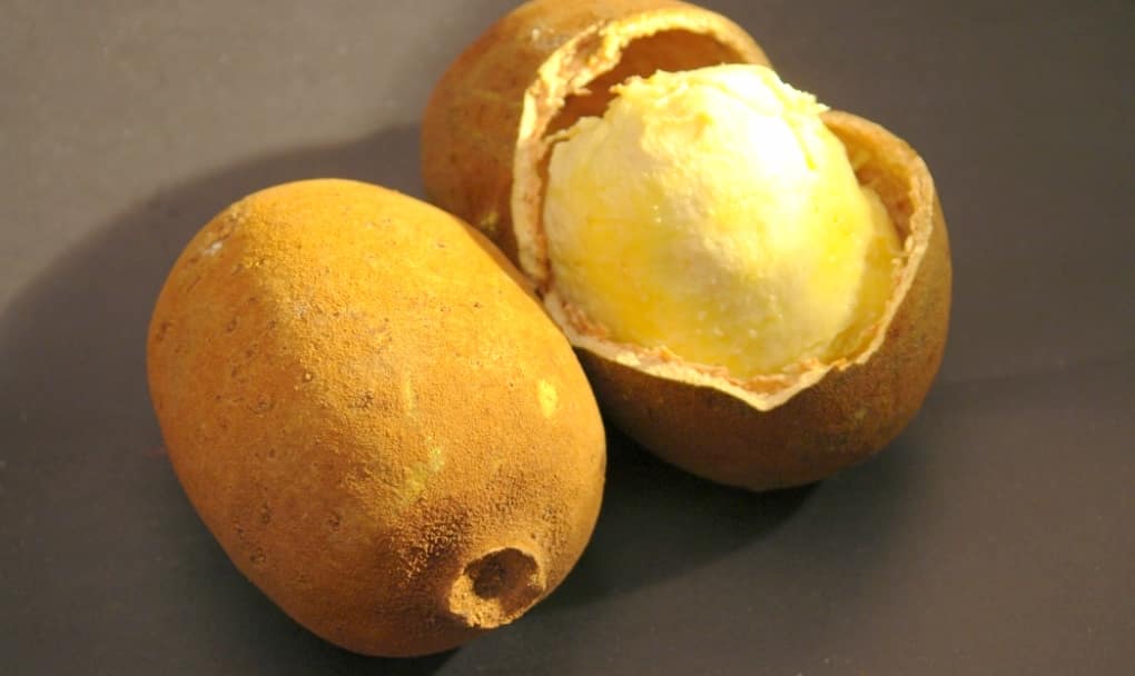 Duas frutas cupuaçú. Uma delas com a semente quebrada