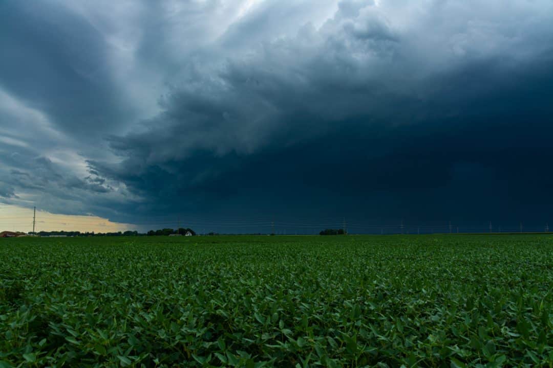 Chuva ameaçando plantio agrícola