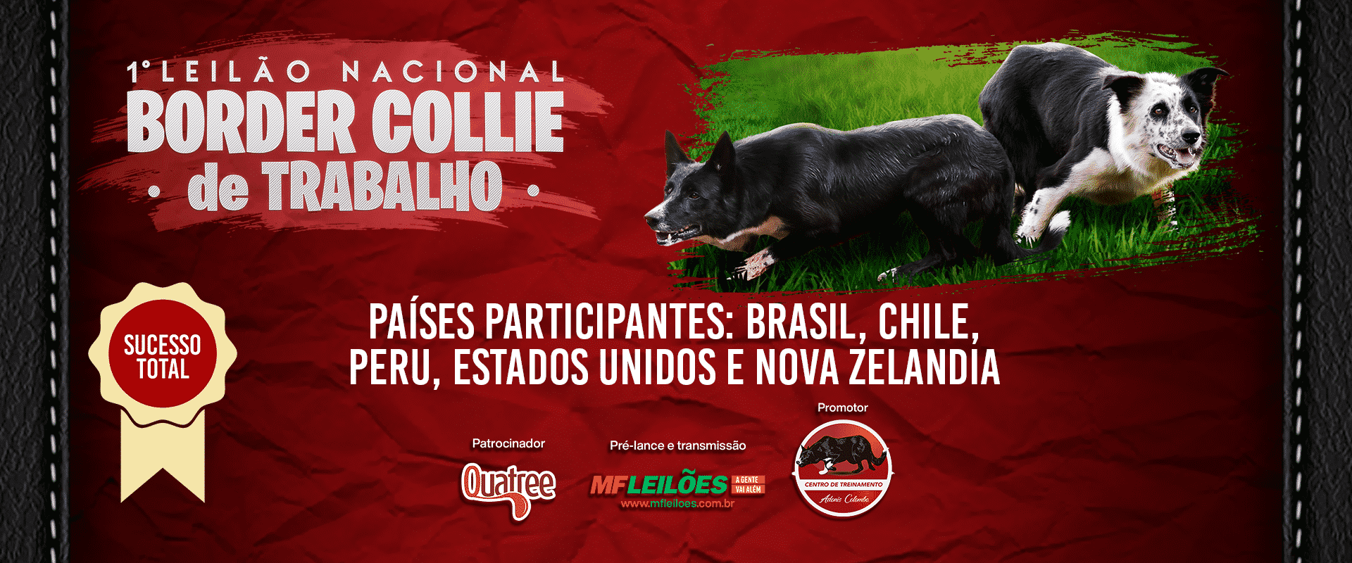 Folder do Leilão nacional de border collie