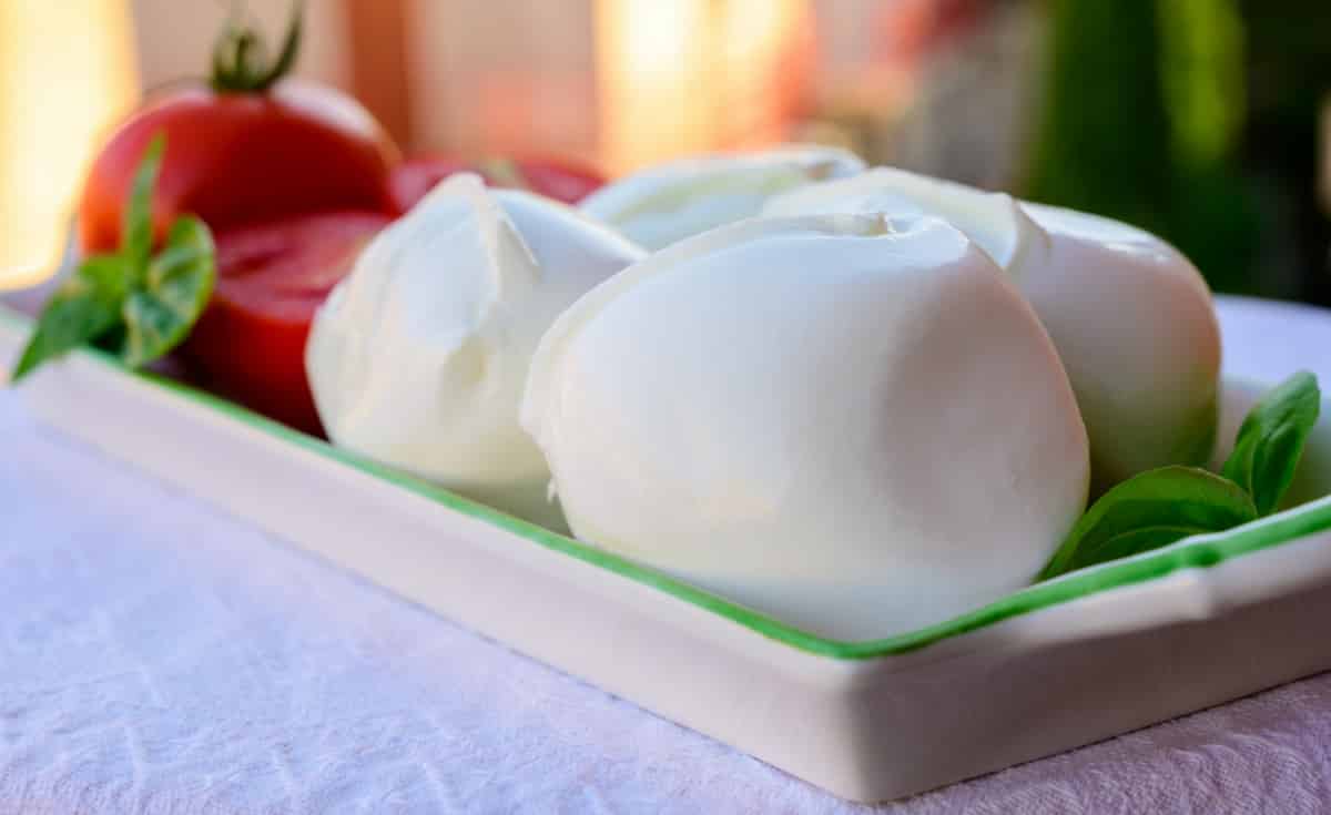 Mussarela de búfala numa travessa com tomates