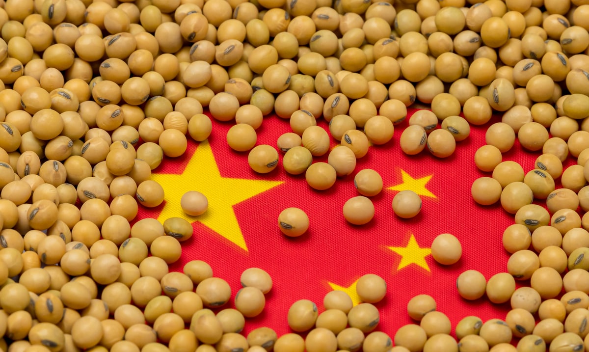 Grãos de soja em cima da bandeira da China