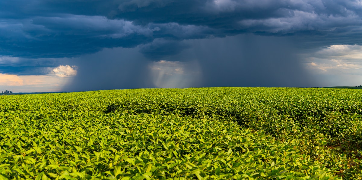 Lavoura tendo ao fundo formação de chuva
