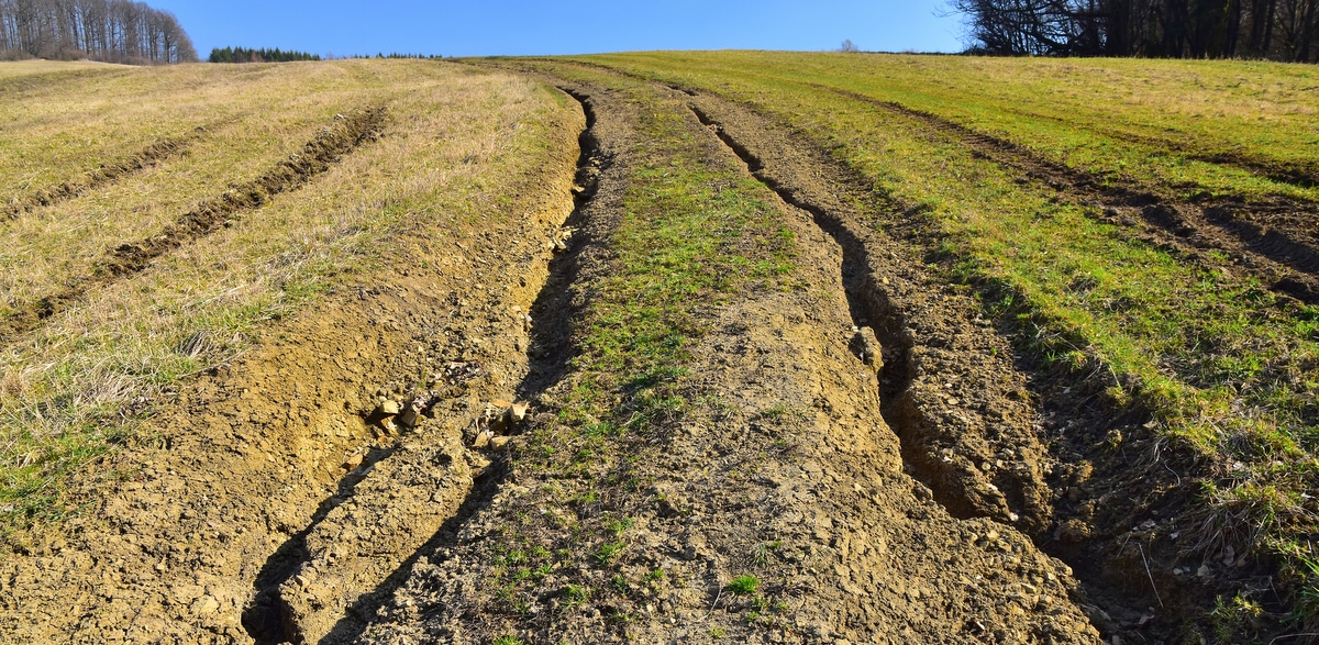 Erosão em sulcos numa propriedade rural