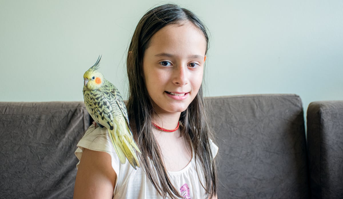 Menina com uma calopsita dentro de casa