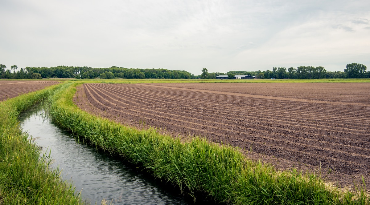 Canal de drenagem ao lado de uma área preprada para plantio