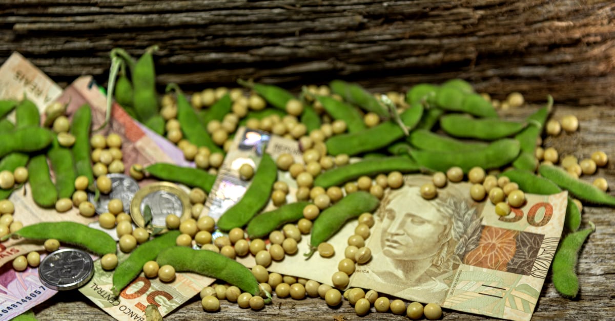 Grãos e vagens de soja entre cédulas e moedas