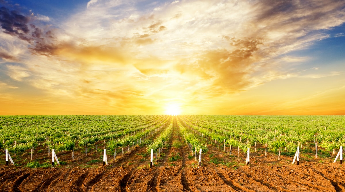 Fim de tarde em terra para produção agrícola