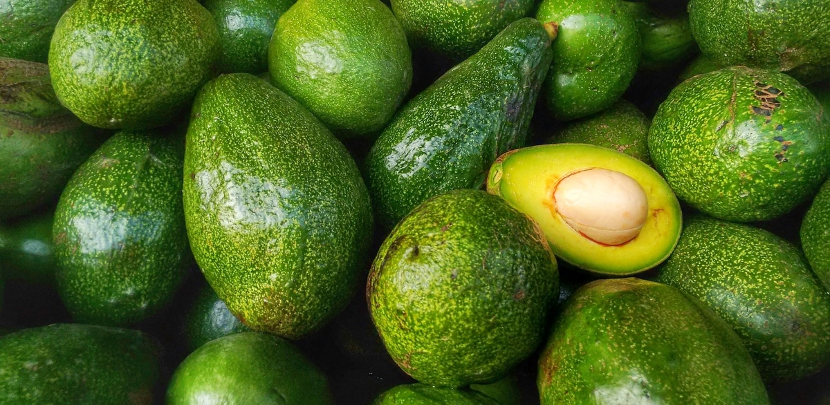 Frutos de abacate, com um deles cortado ao meio