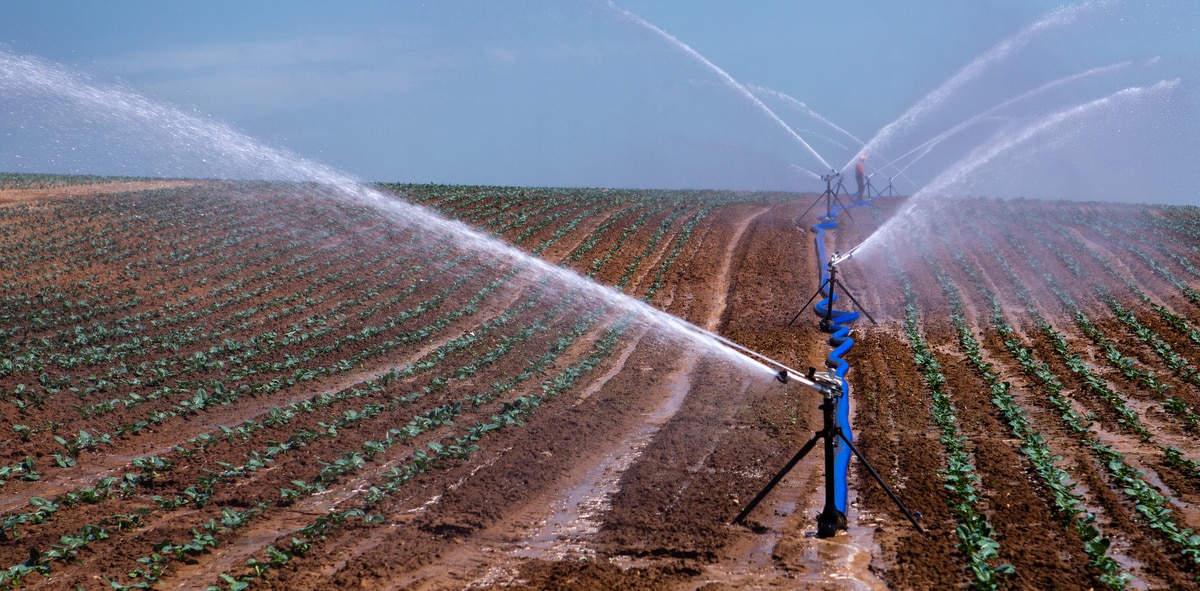 Área de plantio com irrigação