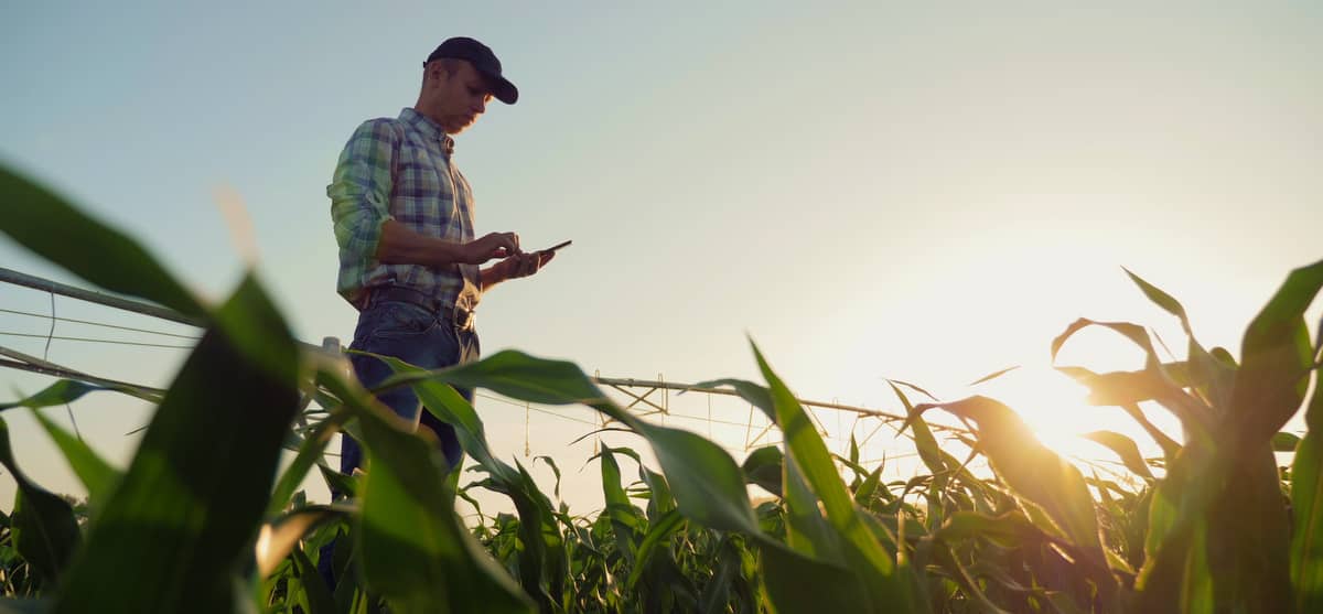 Produtor rural  usando celular agricultura de precisão