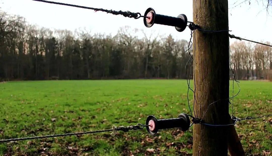 Cerca elétrica rural: tire suas dúvidas sobre ela!