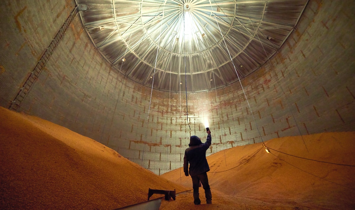 Visão interna de silo graneleiro com estocagem de produção