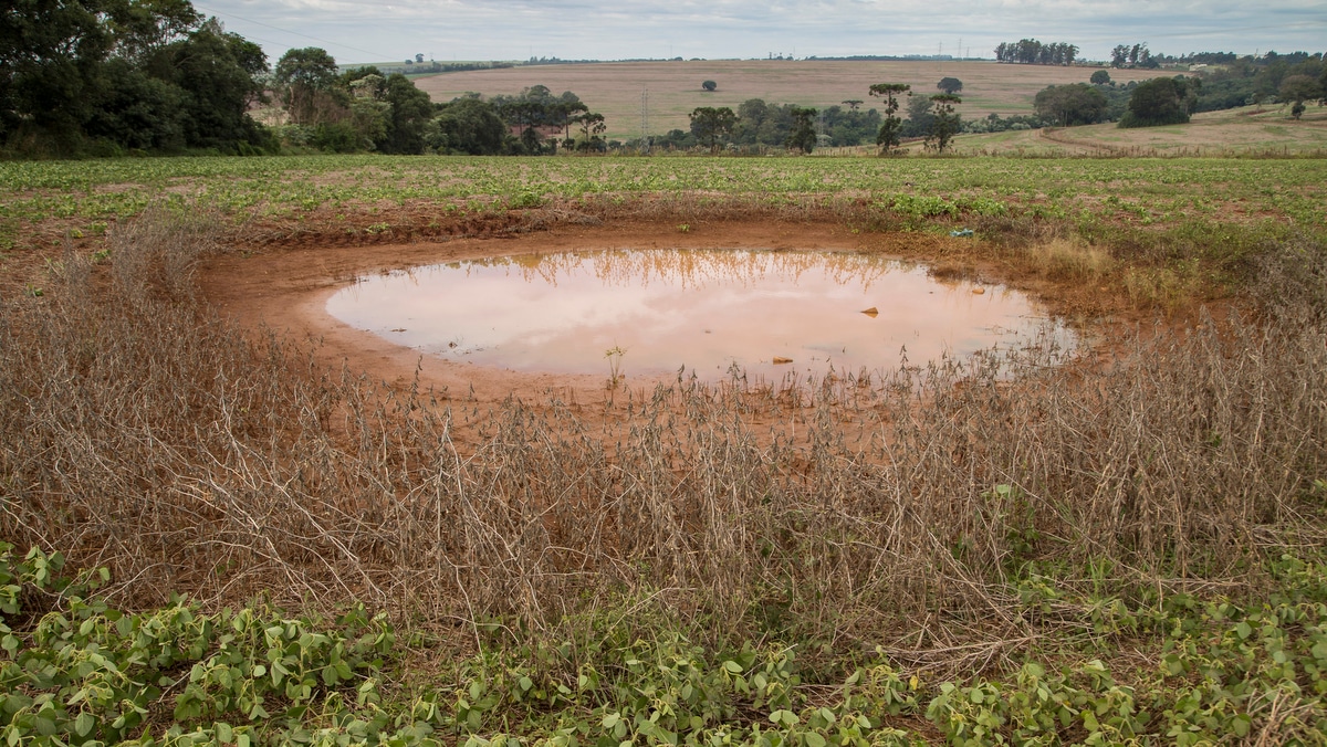 Curva de nível em área de plantio