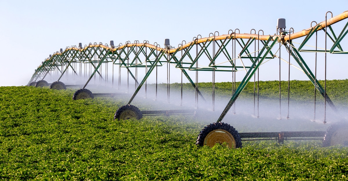 Área de plantio com sistema de irrigação