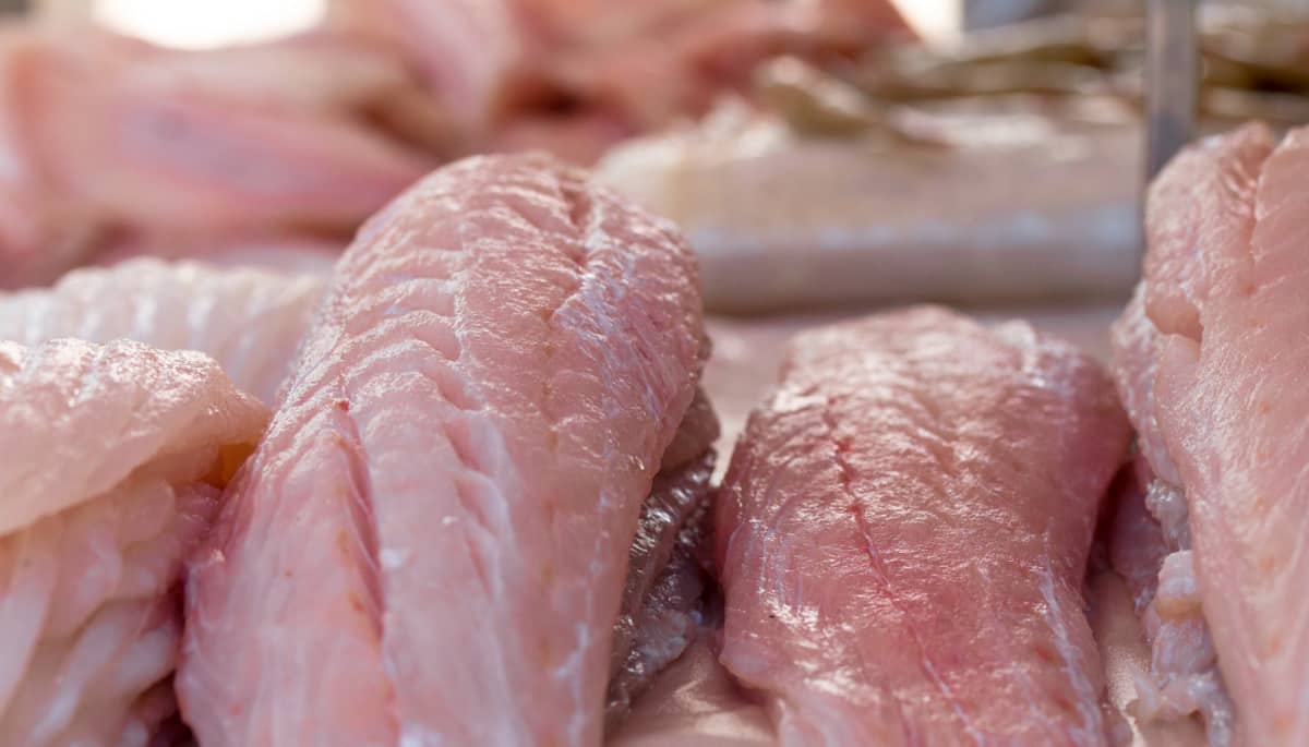 Filé de peixes num mercado à venda