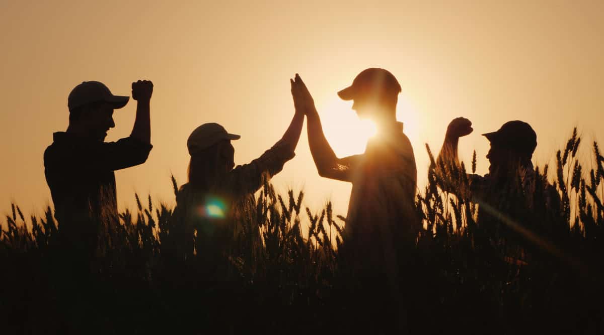 Agricultores comemoram o sucesso de uma negociação no campo.