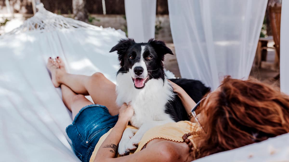 Cachorro com uma mulher descansando numa rede