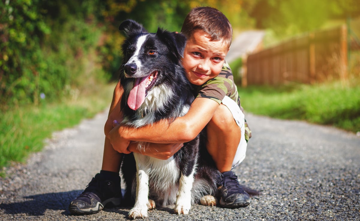 Criança abraçando um cachorro border collie