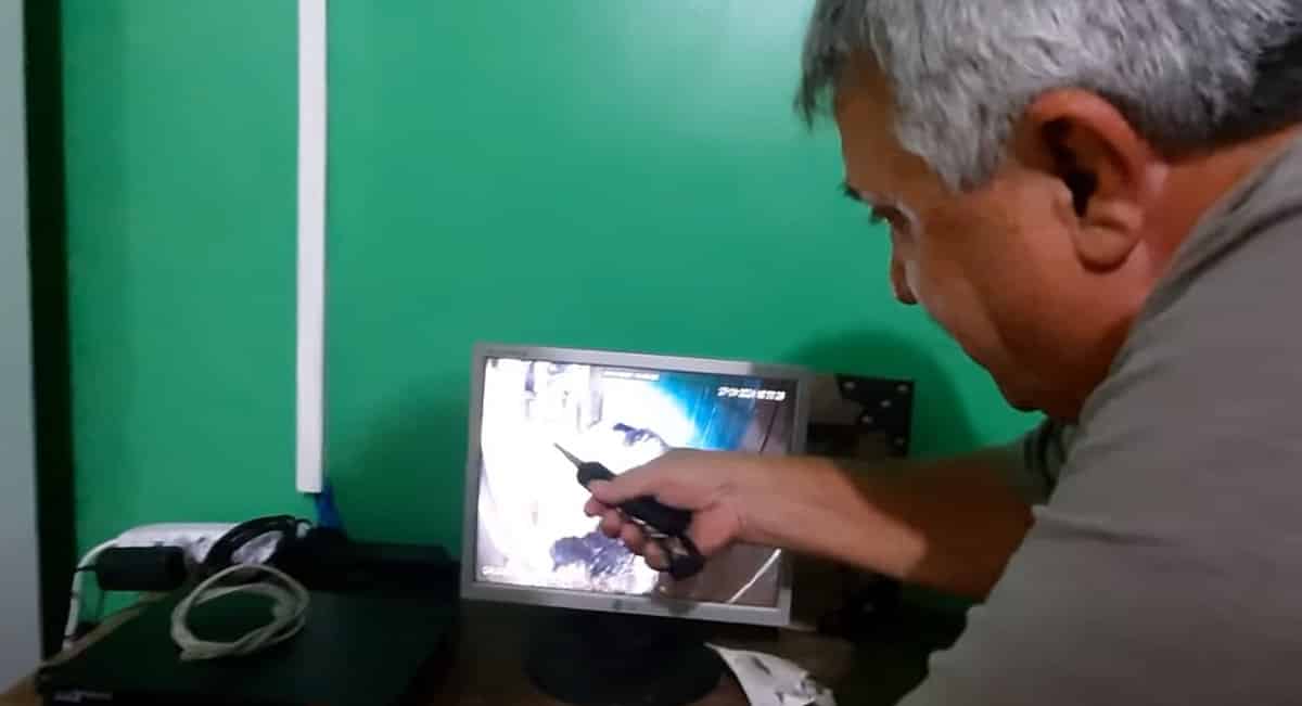 Dono do galo mostra imagens dele botando ovos
