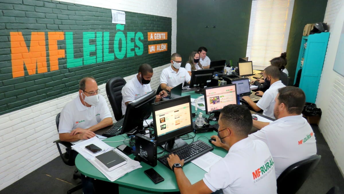 Equipe de apoio do MF Leilões
