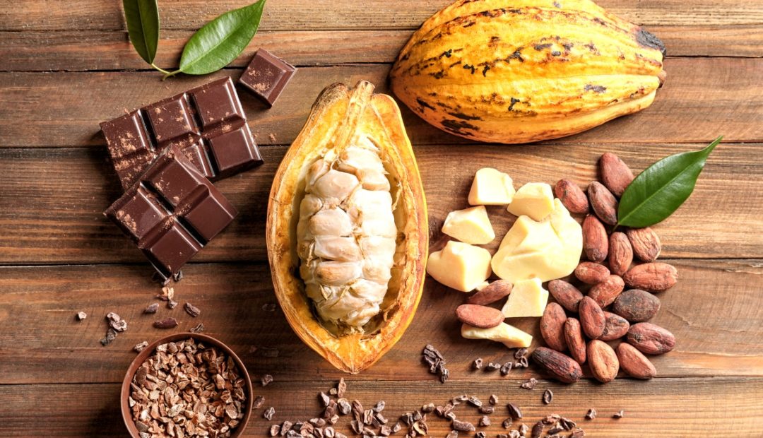 Cacau: conheça tudo sobre esse fruto