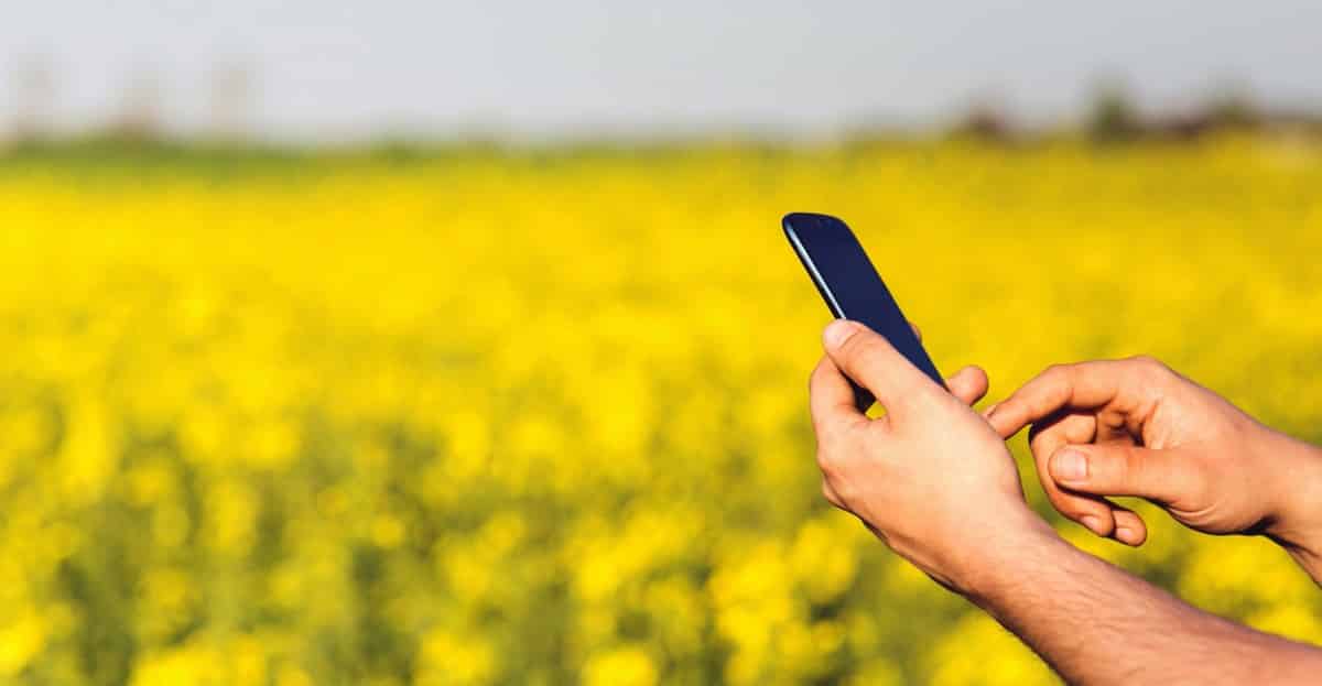 Homem usando celular no campo