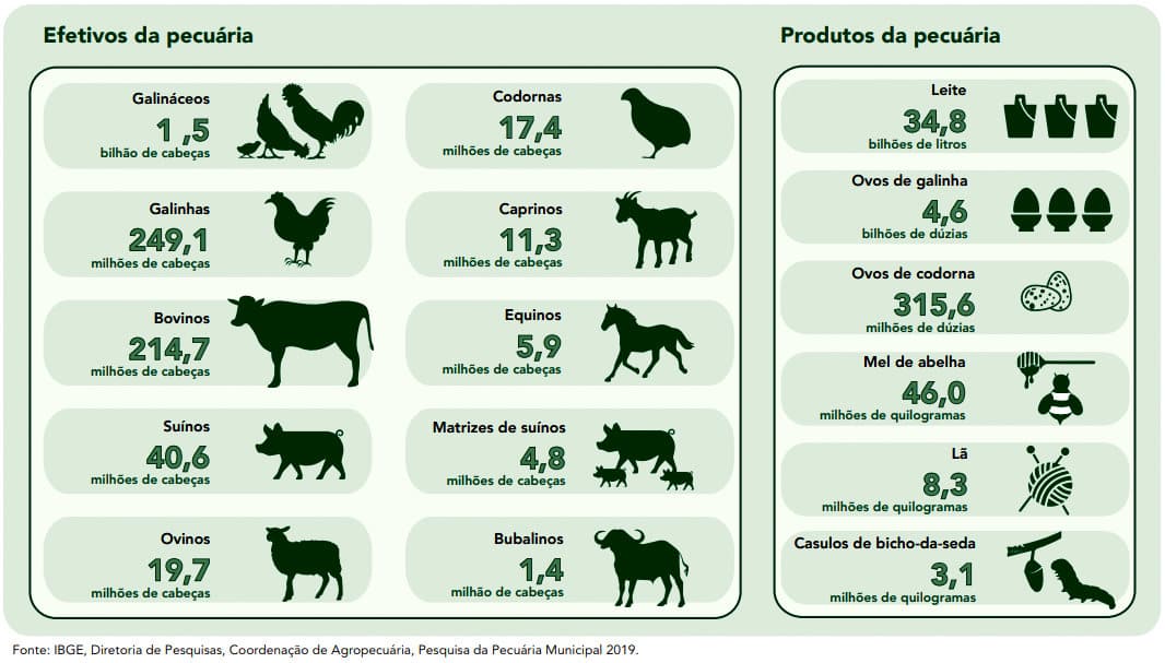 Arte do IBGE mostrando o plantel de codornas e outros animais