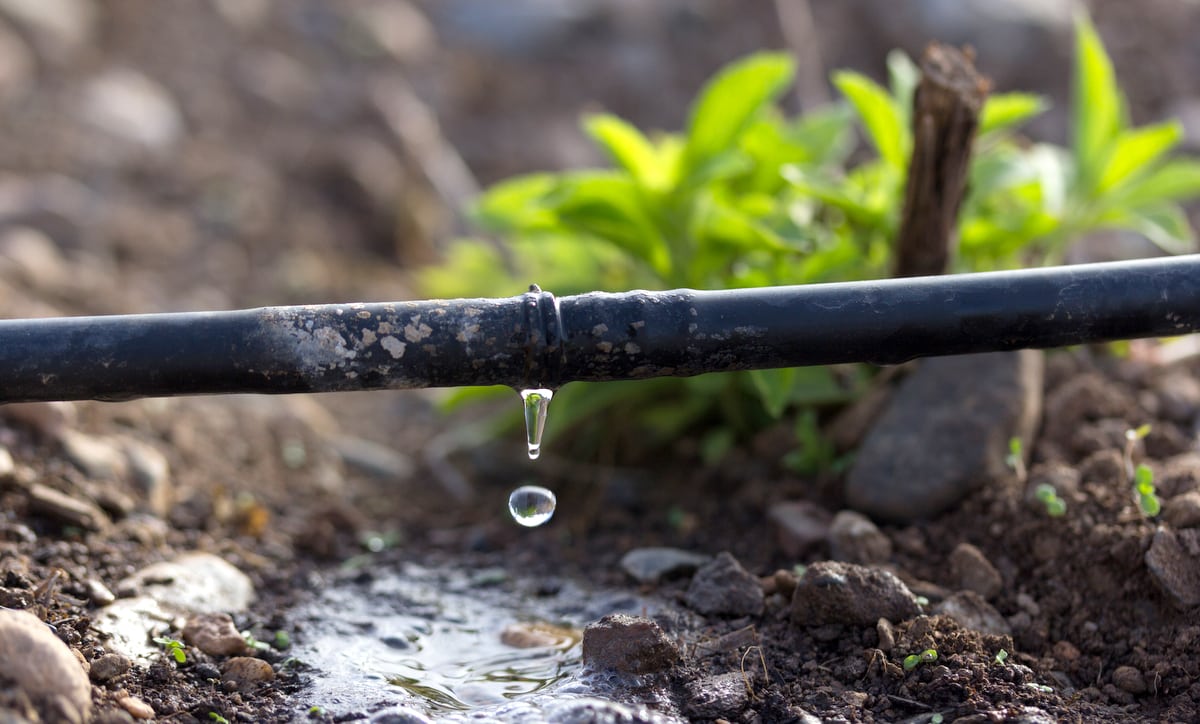 Sistema de gotejamento para irrigação de lavoura