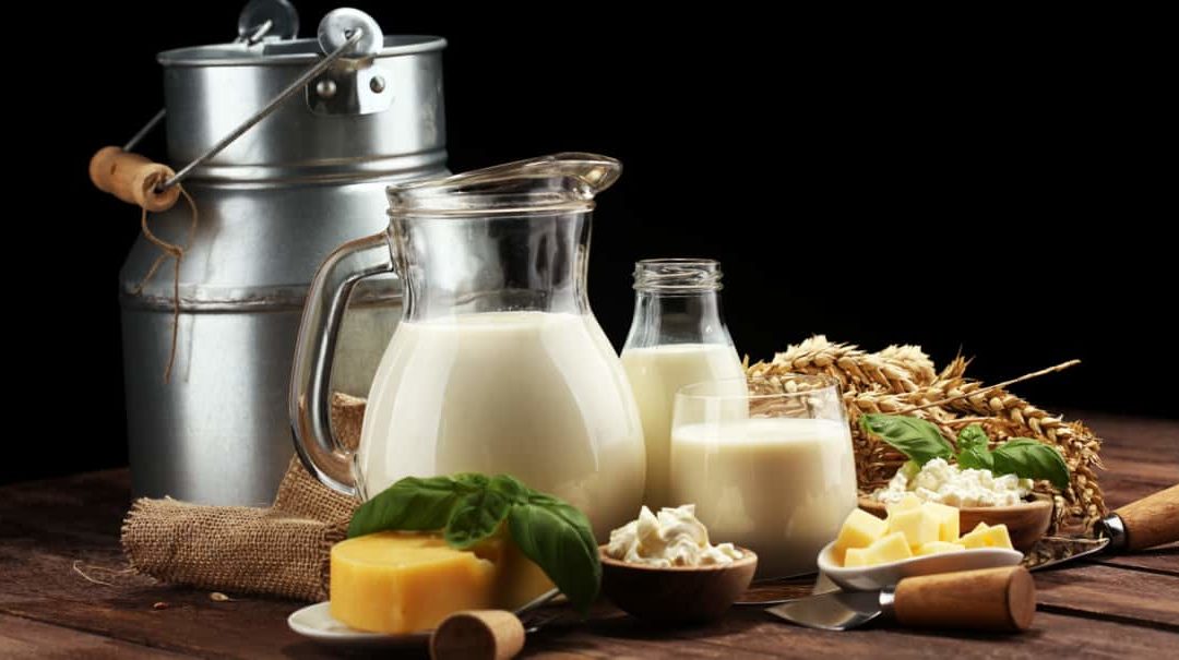 Derivados do leite: conheça os principais produtos