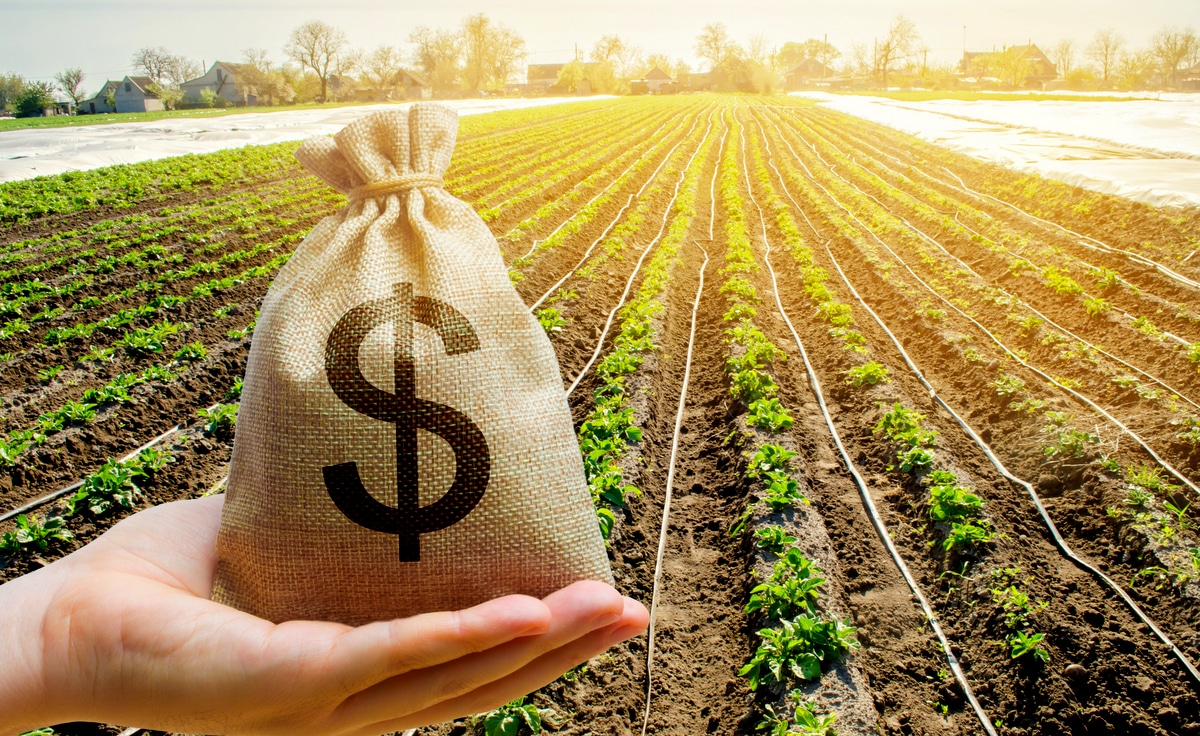 A obtenção de crédito rural está condicionada ao uso do zoneamento agrícola